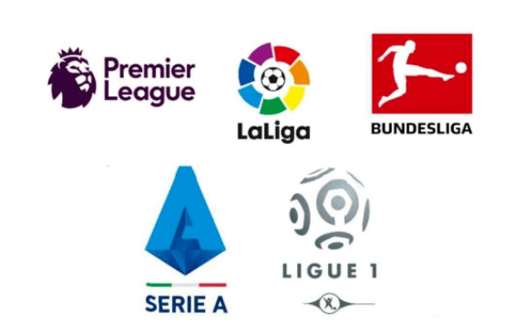 需要在组织 需要在组织